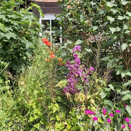 Apartment In Mit Garten, Grill Und Terrasse Jameln